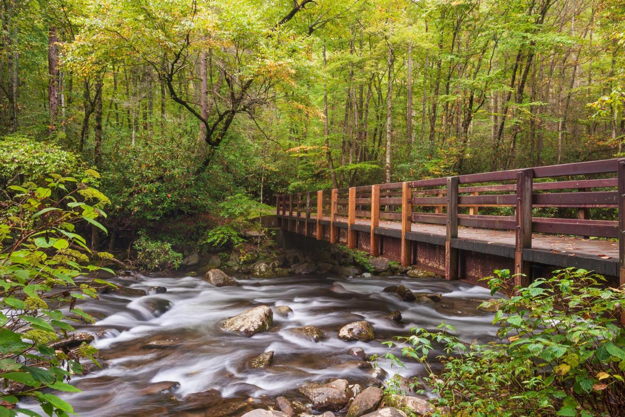 Lazy Bear Lodge, Hot Tub, Resort Pool, Wifi, 1089 Free Tickets Each Paid Day, Dollywood And More 개틀린버그 외부 사진